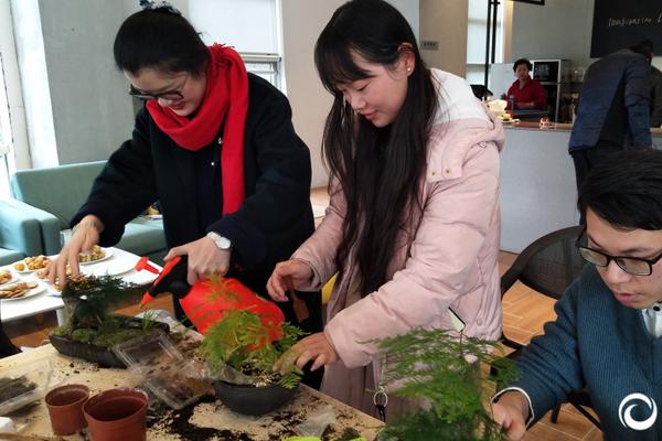 （高质量发展调研行）以茶兴镇 潮州凤凰镇打造茶旅模式助推乡村发展
